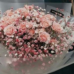 Meet your Posher, Audrey